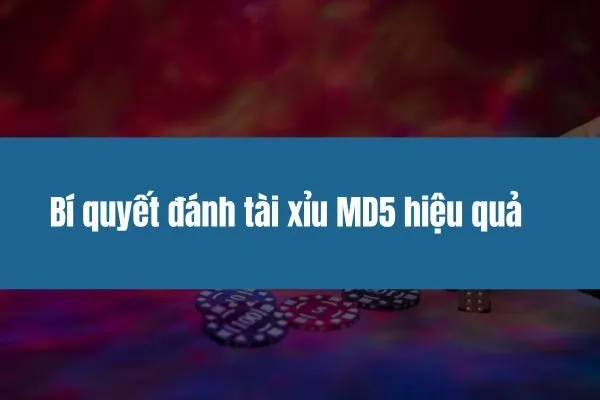 Bí quyết đánh tài xỉu MD5 hiệu quả