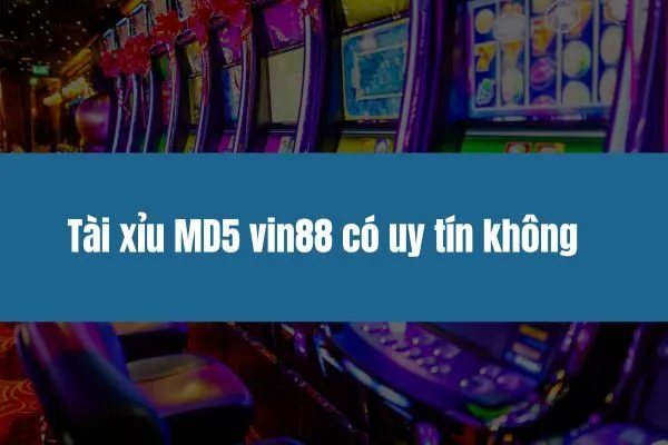 Tài xỉu MD5 vin88 có uy tín không